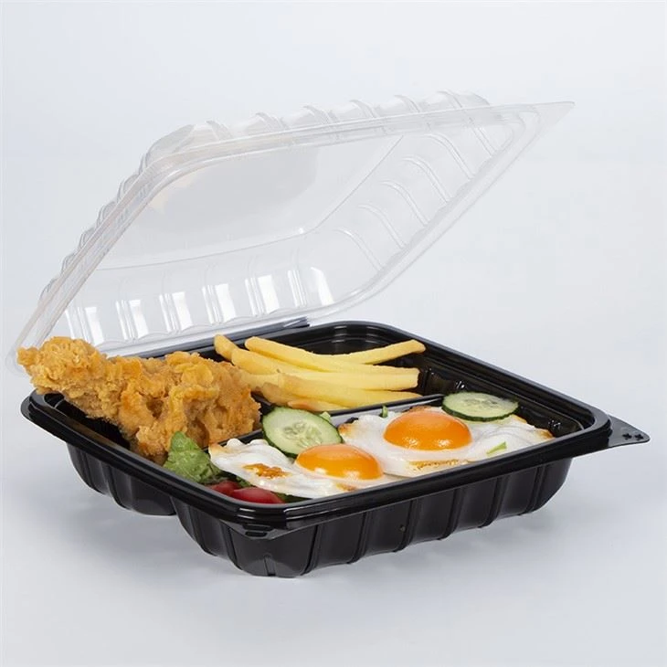Hinged Food Containers Plastic Lunch Box