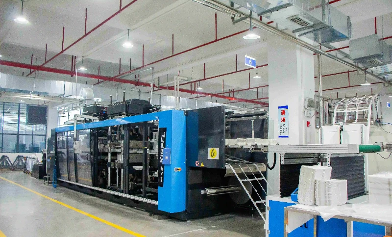 Plastic Tray Manufacturing Process Plastic Tray Manufacturing Process