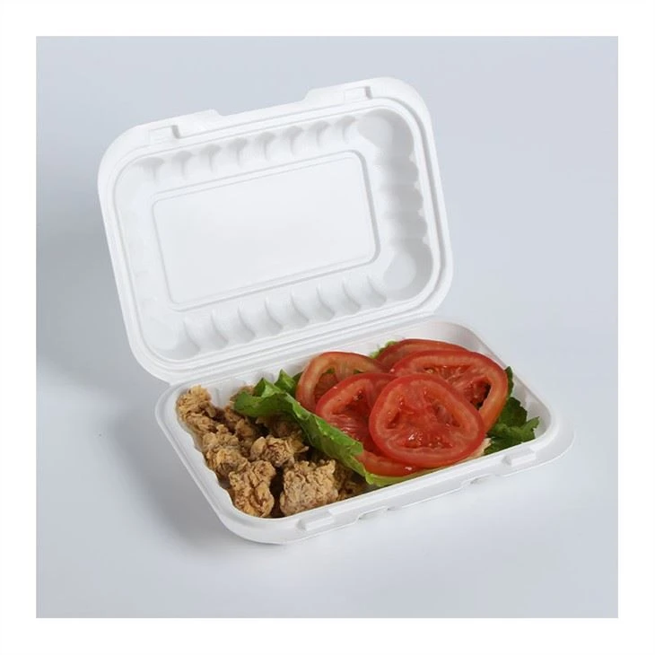 Hinged Pp Clamshell
