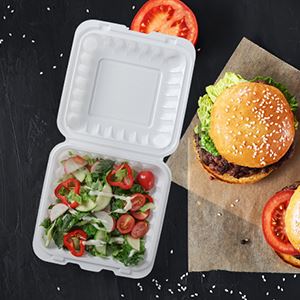 To Go Hinged Food Containers