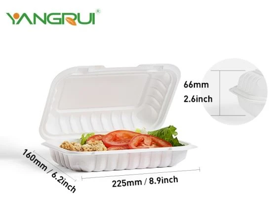 9x6 Inch White Leftover Container