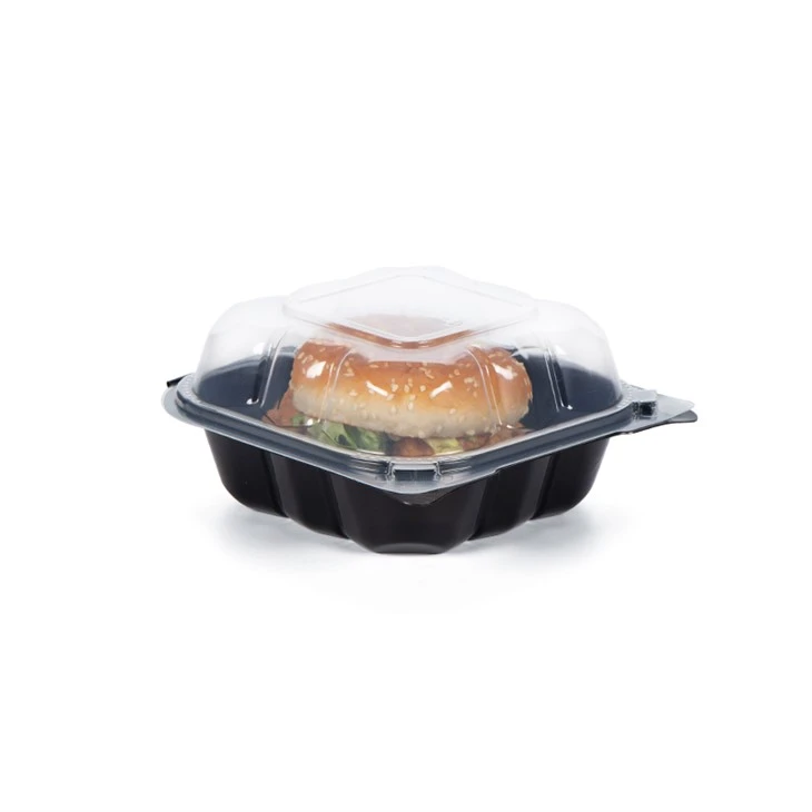 Clear Hinged Take Out Containers