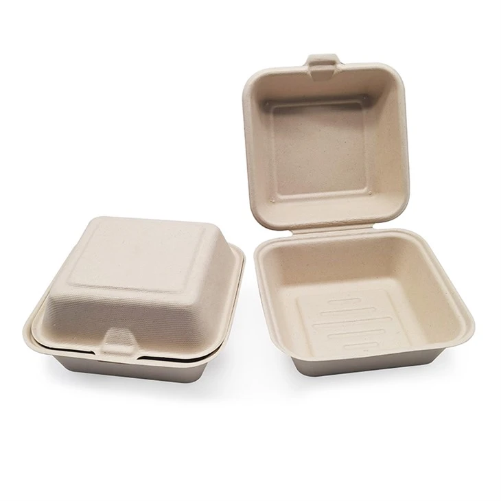 Biodegradable Lunch Containers