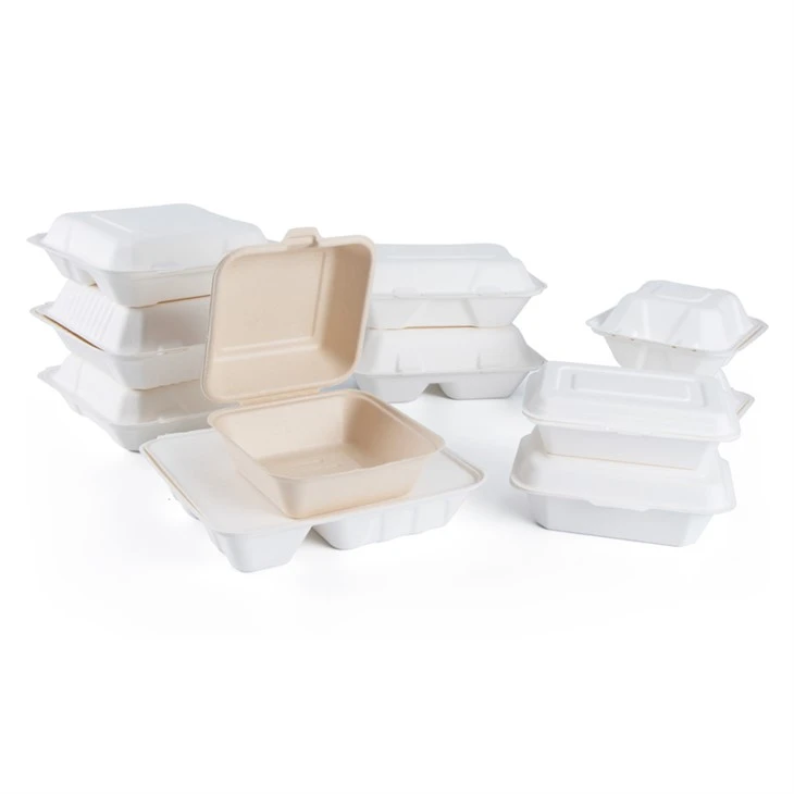 Compostable Lunch Box