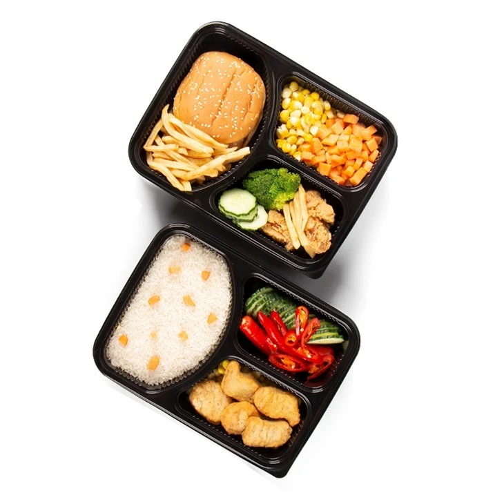 Disposable Fast Food Containers