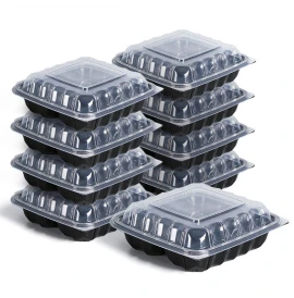 Disposable Fruit Containers
