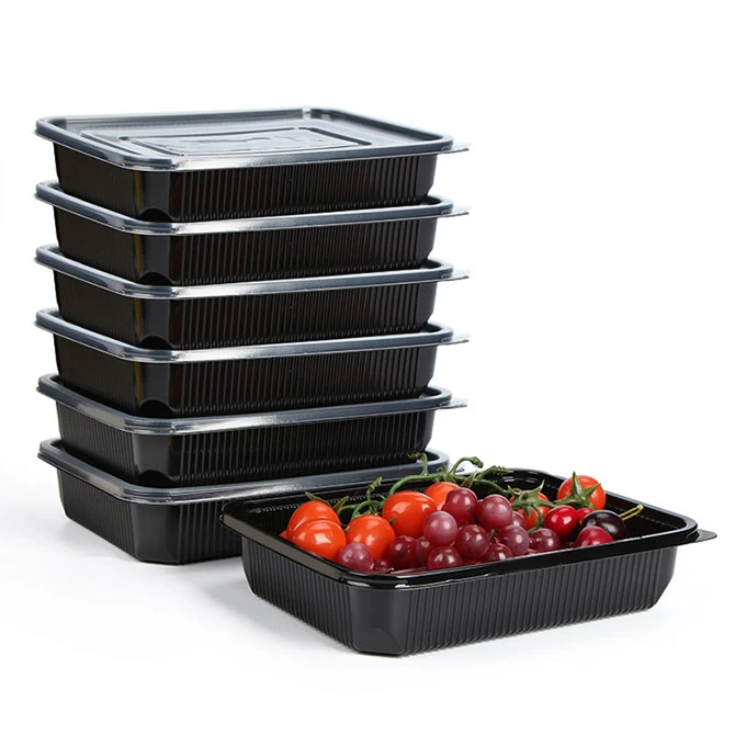 Disposable Plastic Lunch Containers