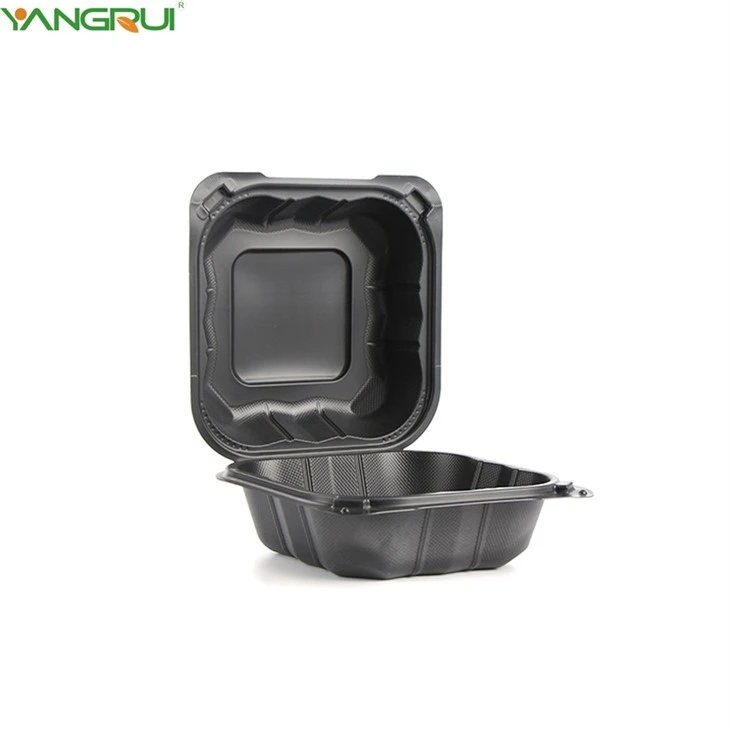 Plastic Disposable Box Food Packaging