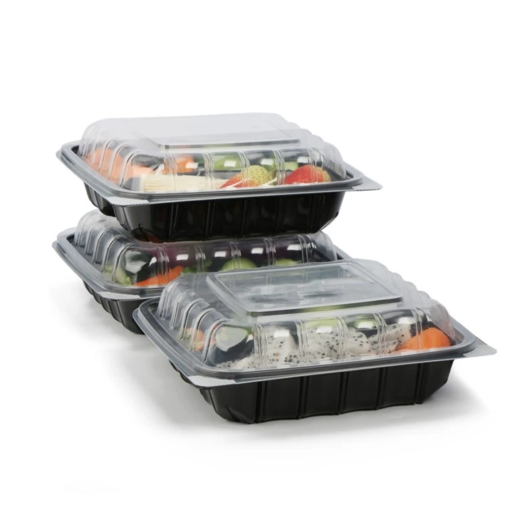 Plastic Disposable Clear Box