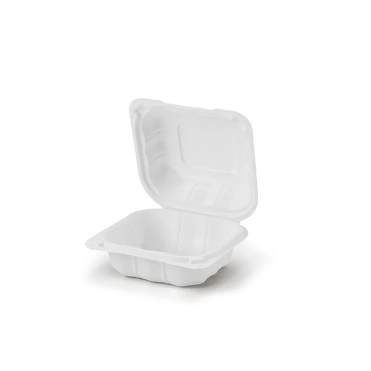 Plastic Food Disposable Containers