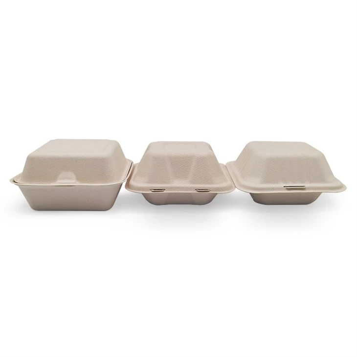 Sugarcane Food Container