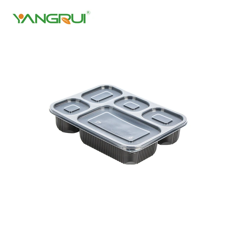5 Compartment Meal Prep Container