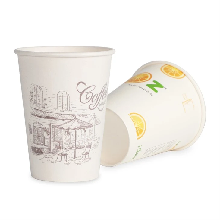 Compostable Paper Hot Cups