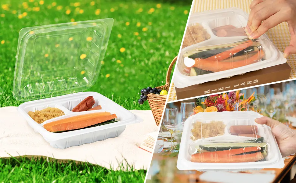 dual color hinged food container