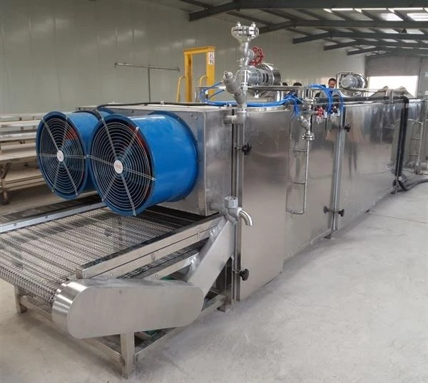 Bagasse production process