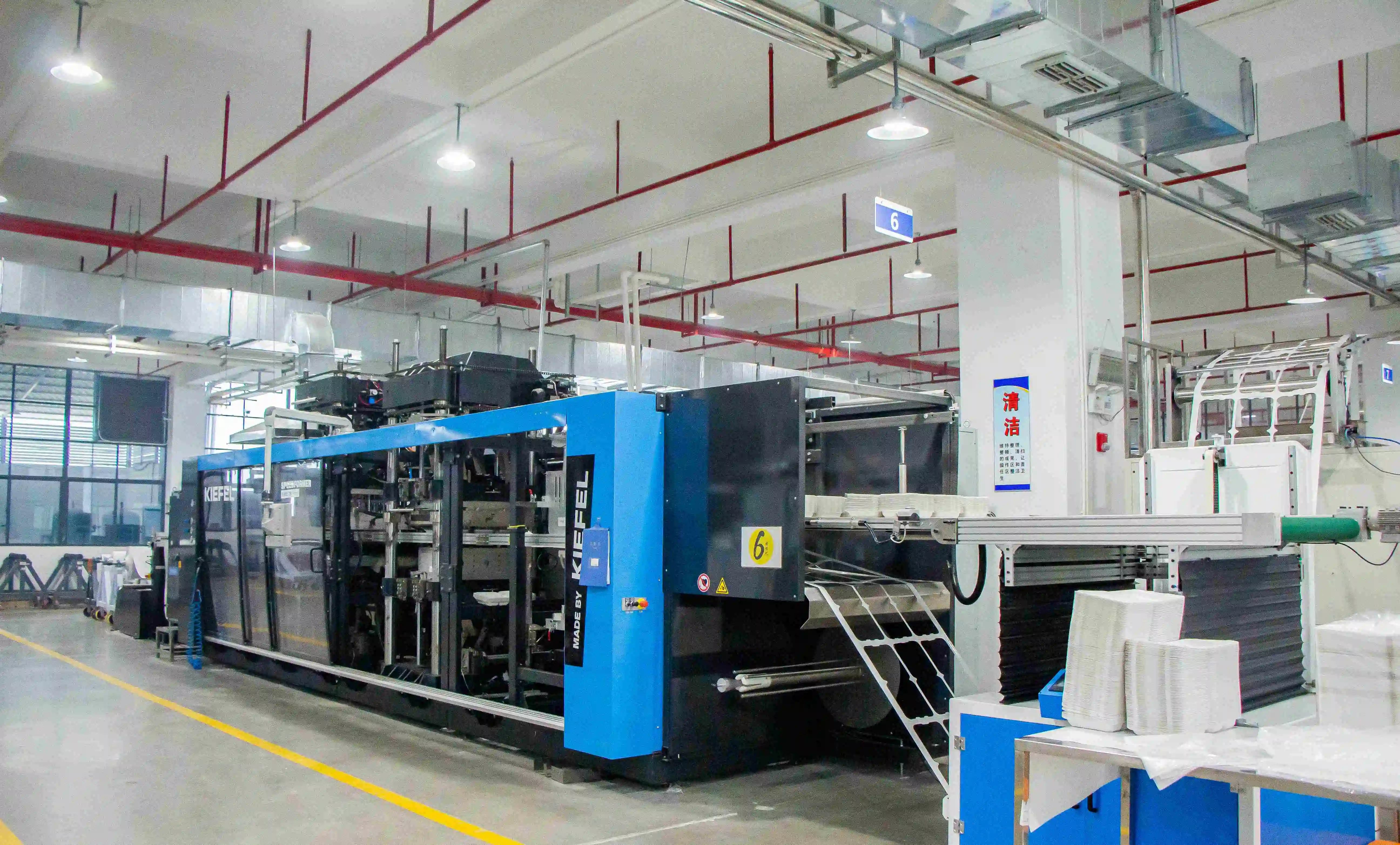 Plastic Tray Manufacturing Process