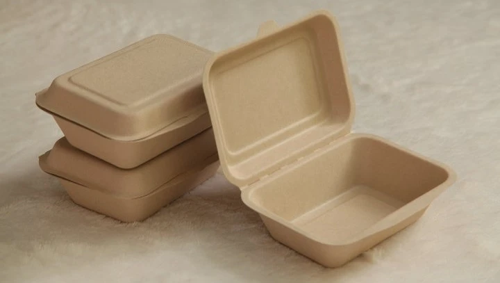 Safe Bagasse Containers