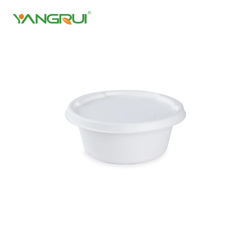 Paper Bowl Soup