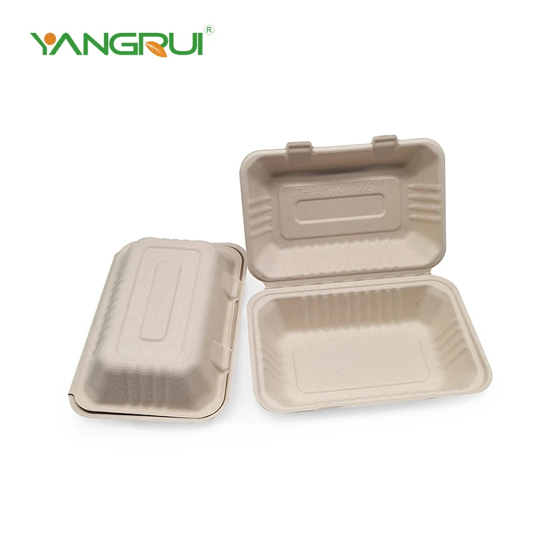 Paper Take Out Containers
