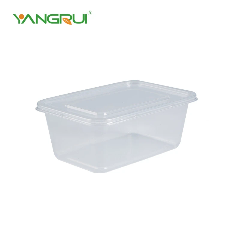 Rectangle Clear Lunch Box