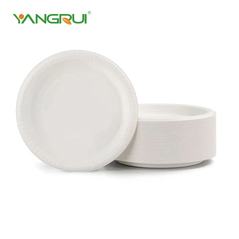 Reusable Plastic Plates