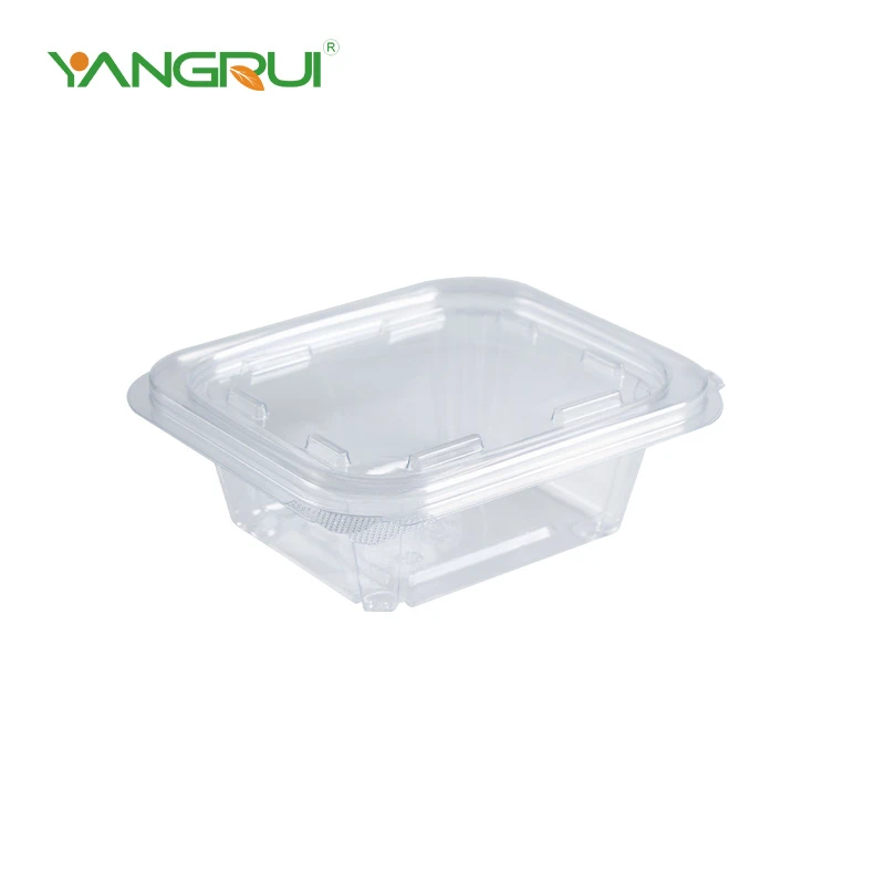Thermoformed Plastic Containers